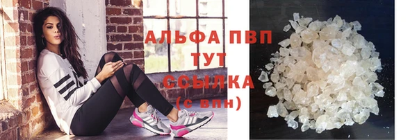 стафф Аркадак