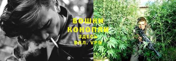 мет Арсеньев
