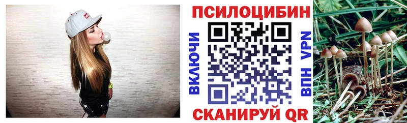 Псилоцибиновые грибы прущие грибы  Таруса 